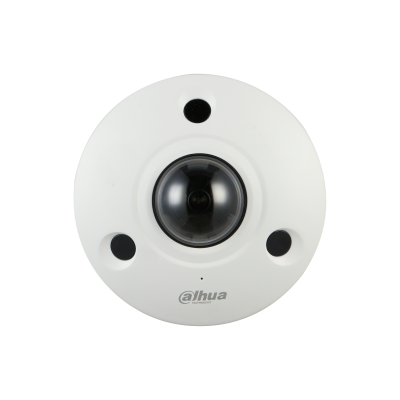 DH-IPC-EBW81242